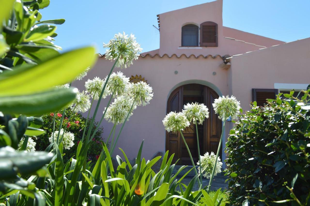 Case Vacanza Country Village Stintino Εξωτερικό φωτογραφία